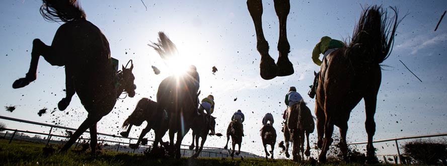 horse betting form guide